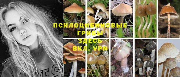 ALPHA PVP Абинск