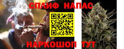МДПВ Краснознаменск